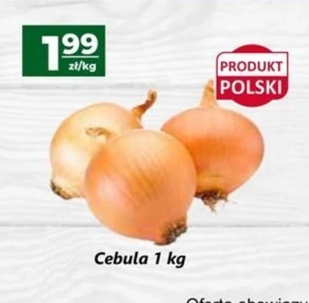 Cebula Polski