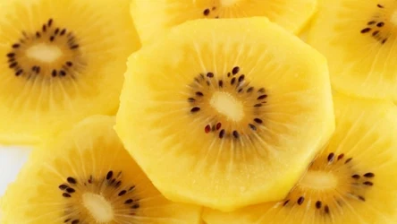 Kiwi gold to pyszny, słodki owoc, który ma mnóstwo cennych składników odżywczych