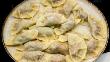 Pierogi prosto ze staropolskiej kuchni. Gęsiną nadziane i rydzowym sosem otulone