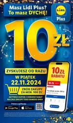 Świąteczne zakupy w Lidl