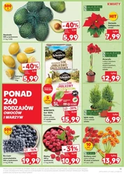 Oferta handlowa sieci Kaufland