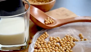 Lecytyna sojowa to naturalny składnik o szerokim spektrum działania
