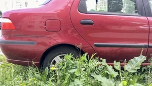 Zalegały na parkingach, teraz idą pod młotek. Wśród nich prawdziwe perełki