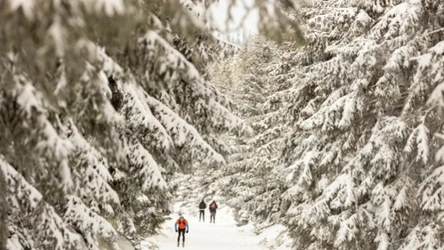 Szklarska Poręba to idealne miejsce na zimowy urlop. Jest tutaj pięknie i mniej tłoczno.  