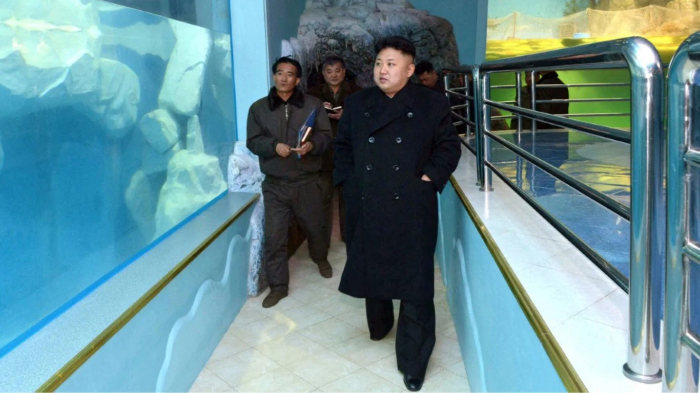 Korea Północna. Zoo w Pjongjangu otrzymało 70 zwierząt w prezencie od Putina / zdj. ilustracyjne Korea Północna. Zoo w Pjongjangu otrzymało 70 zwierząt w prezencie od Putina / zdj. ilustracyjne