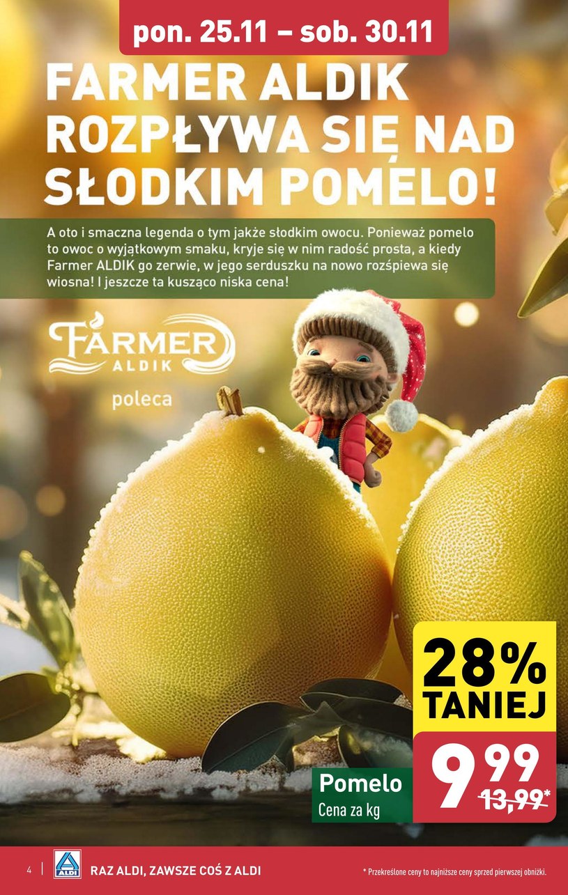 Gazetka: Tylko do soboty w Aldi  - strona 4