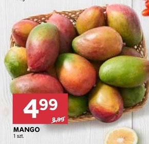 Mango niska cena