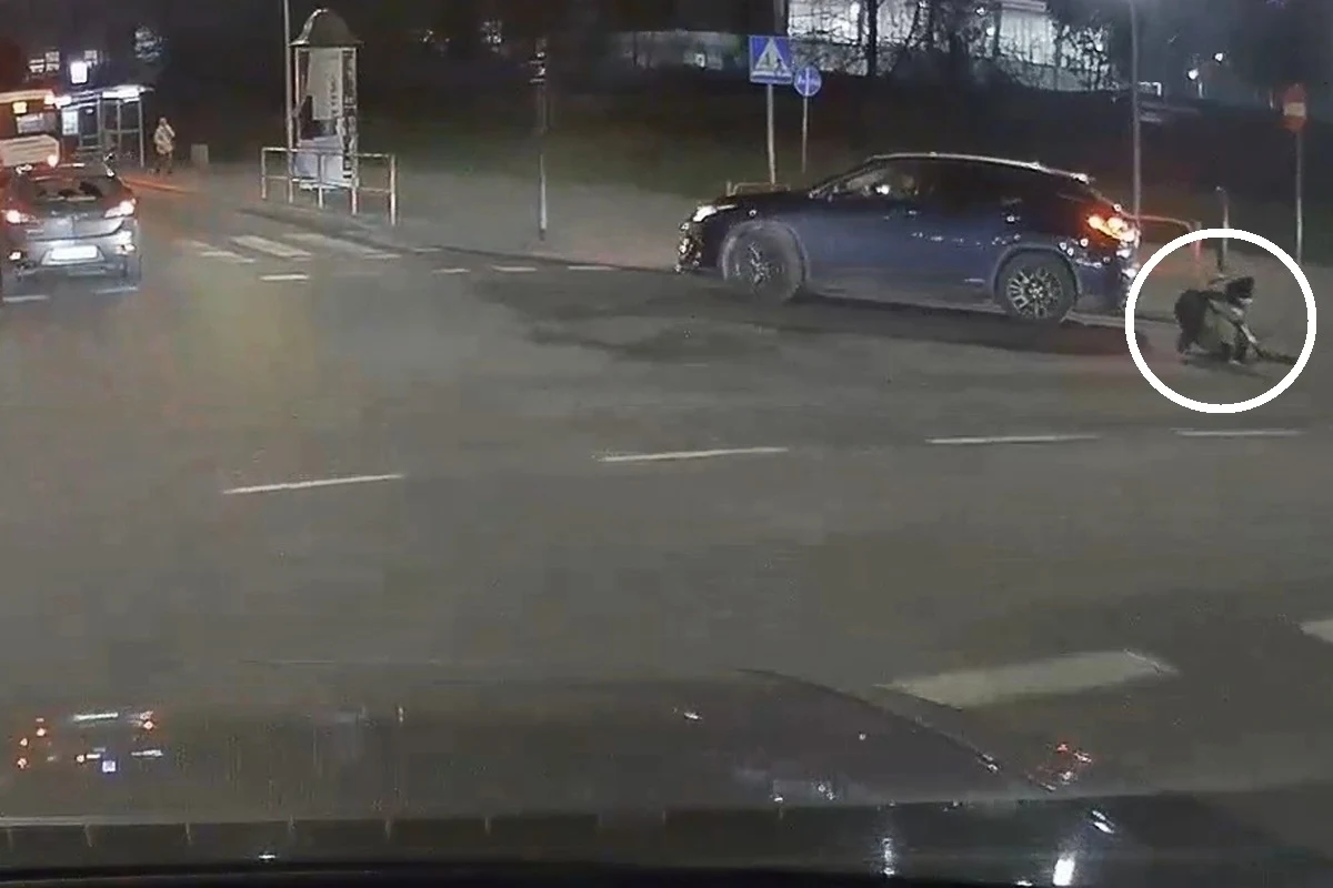 Kierowca Lexusa RX potrącił dziecko na przejściu dla pieszych i odjechał, ignorując świadka, który wzywał go do zatrzymania Kierowca Lexusa RX potrącił dziecko na przejściu dla pieszych i odjechał, ignorując świadka, który wzywał go do zatrzymania
