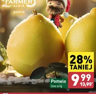 Pomelo