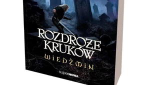 Wiedźmin — Rozdroże Kruków z datą premiery!