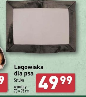 Legowisko dla psa niska cena