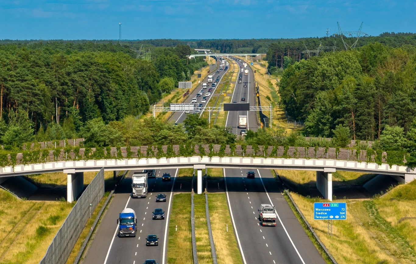 Przejścia dla zwierząt nad drogami szybkiego ruchu są odpowiednio osłonięte