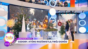 Idealnie oświetlony ogród, i to w święta? Tylko dzięki Dominikowi Strzelcowi