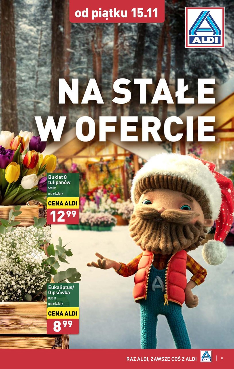 Gazetka: Borówki w super cenie! - Aldi - strona 9