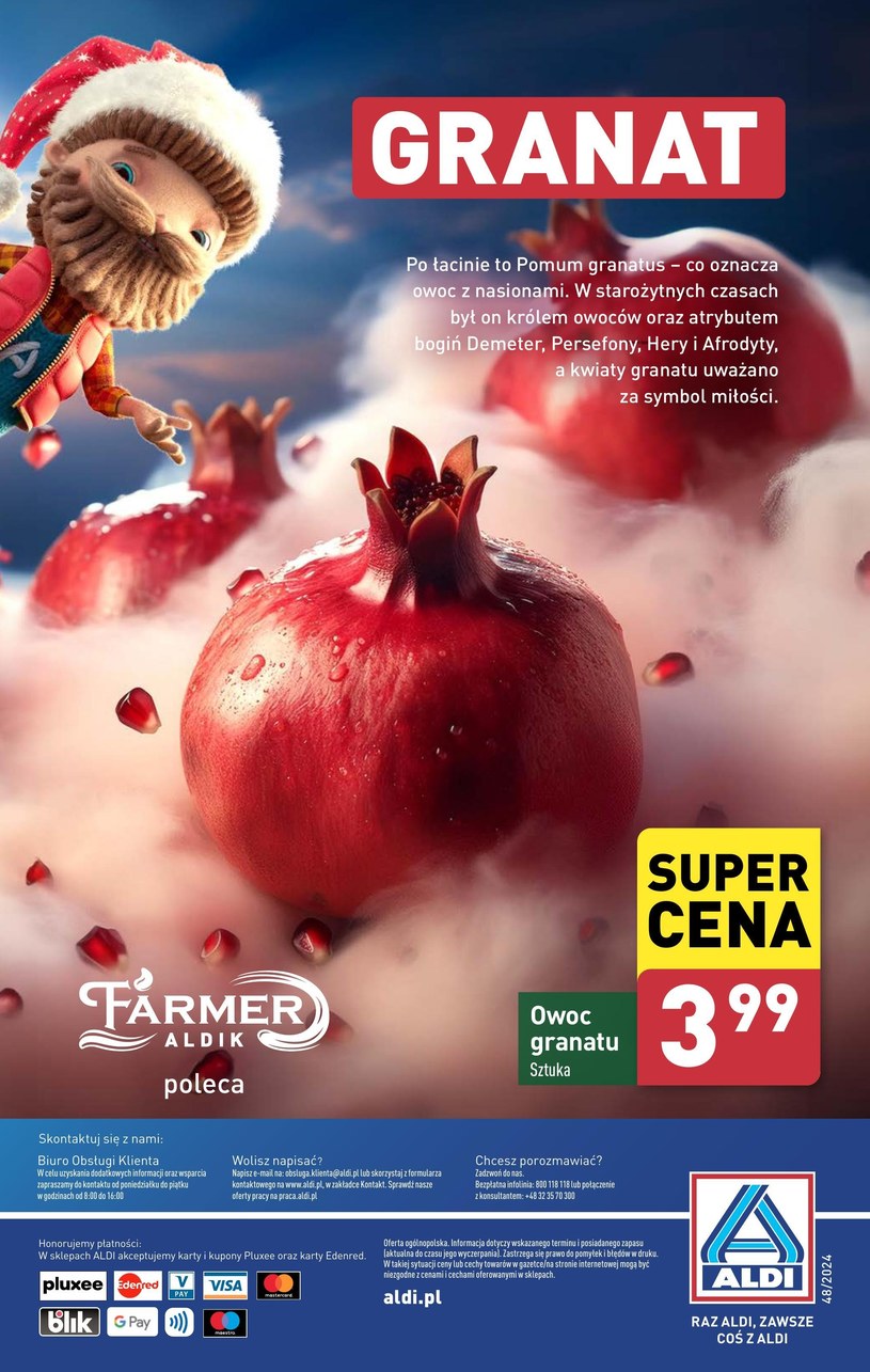 Gazetka: Borówki w super cenie! - Aldi - strona 10