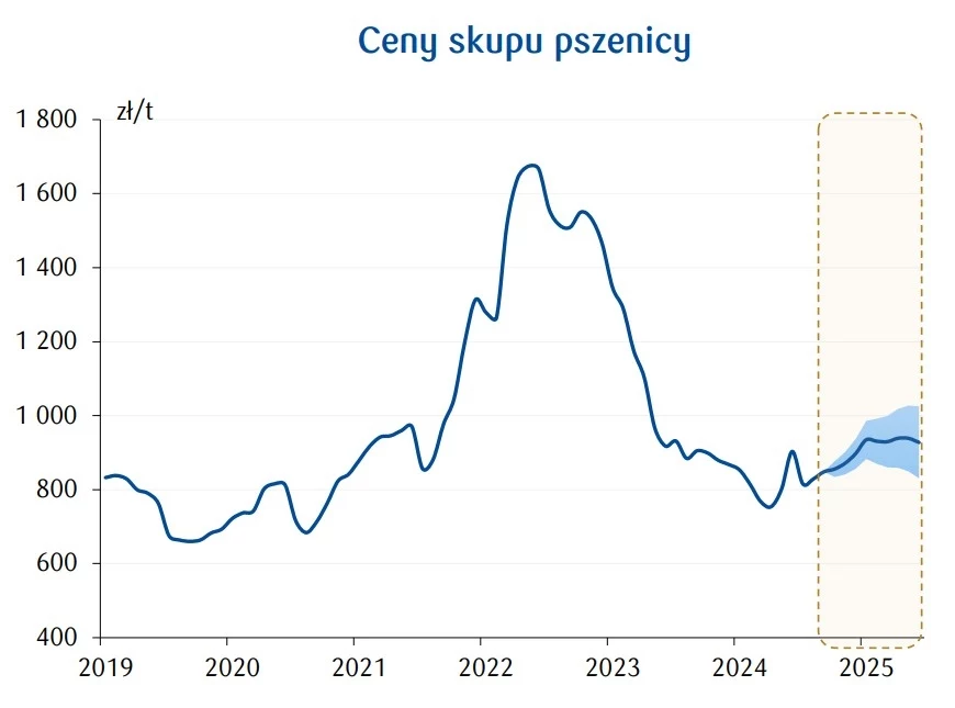 Ceny skupu pszenicy.