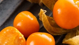 Smakuje jak połączenie ananasa z pomidorem. Dobra dla alergików, ma dużo witaminy C i poprawia wzrok