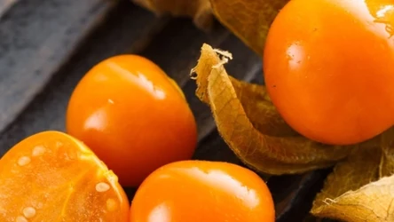 "Złote jagody" mają lekko kwaskowy smak i mnóstwo witaminy C.