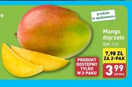 Манго Mango