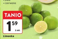 Limonka