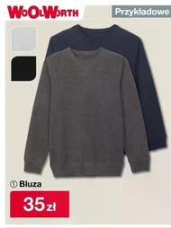 Bluza