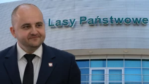 Wszczęto śledztwo w sprawie oszustwa na szkodę szczecińskiej dyrekcji Lasów Państwowych