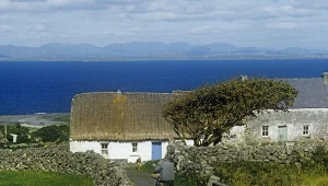 Masz ochotę na przeprowadzkę? Tutaj zapłacą ci za nią ponad 350 tys. zł 