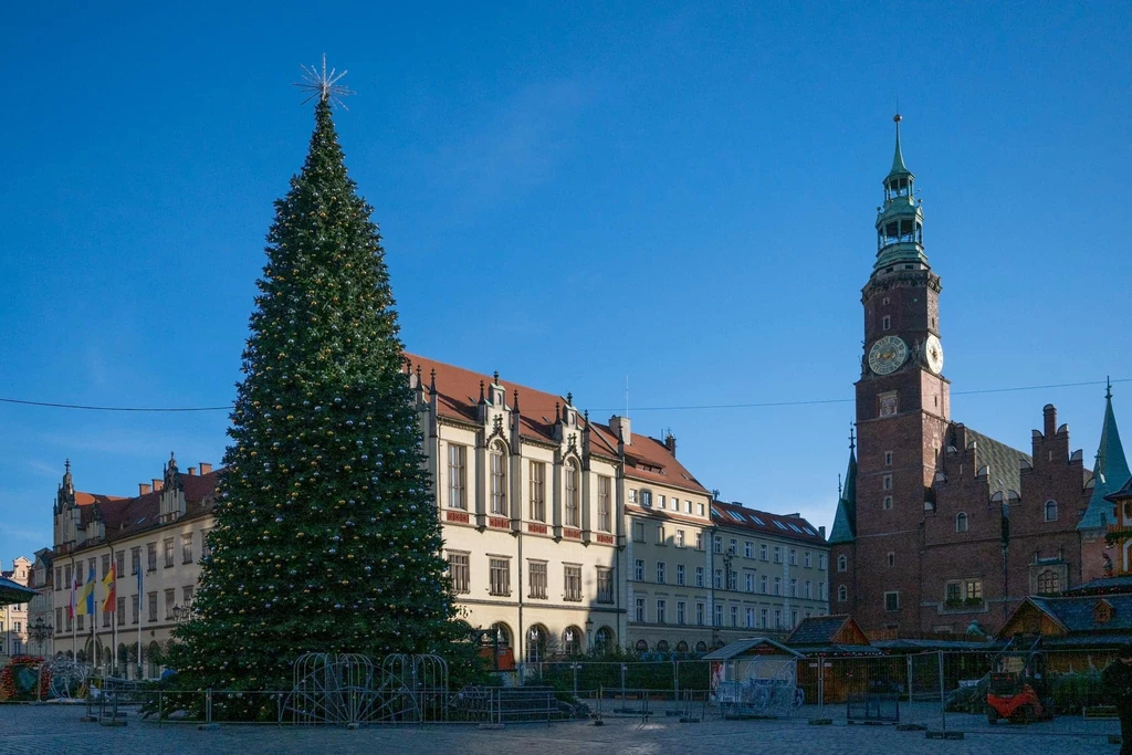 Wrocław zapłaci za choinkę bożonarodzeniową fortunę