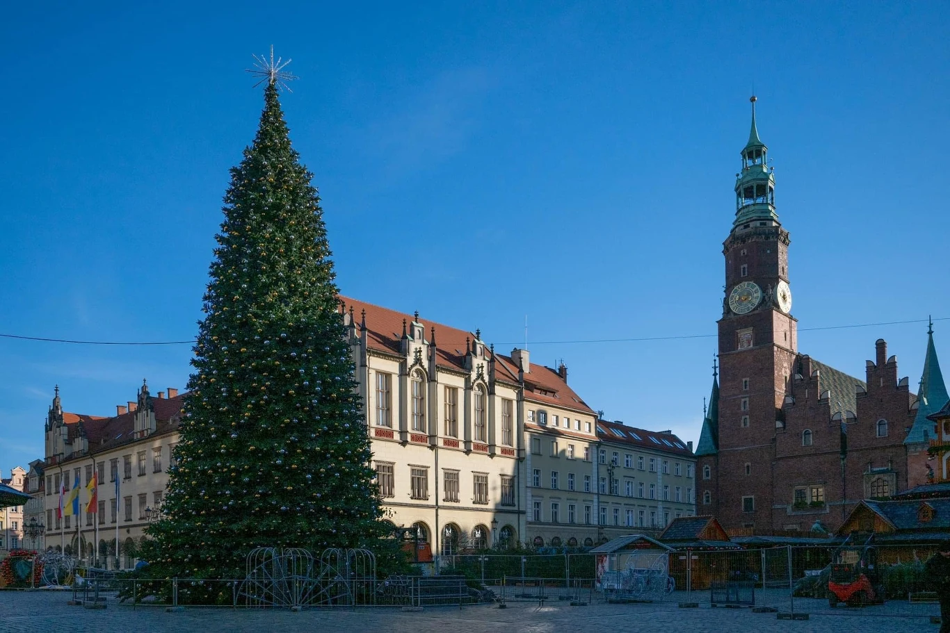 Wrocław zapłaci za choinkę bożonarodzeniową fortunę Wrocław zapłaci za choinkę bożonarodzeniową fortunę