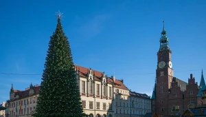 Warszawa zostawiła Wrocław daleko w tyle. Bajońskie sumy za choinki