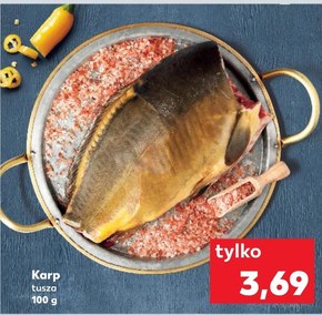 Karp niska cena