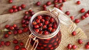 Sok z owoców głogu to coś dobrego nie tylko dla odporności