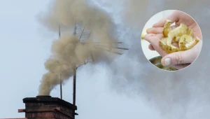 Zamiast wyrzucać do kosza, wrzuć do pieca. Wyczyścisz komin bez wzywania specjalisty