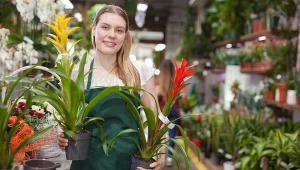 Tej rośliny pozazdroszczą ci wszystkie sąsiadki. Sprawdź, jak ją pielęgnować