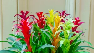 Ta roślina wygląda jak rajski ptak. W polskim markecie piękniejszej nie znajdziesz