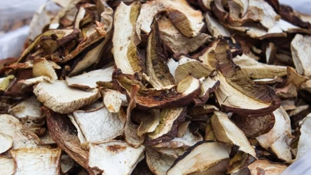 Jak można wysuszyć grzyby bez suszarki? 