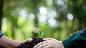 Wybierając produkty z certyfikatami, jak te oferowane przez Foxy, wspieramy marki odpowiedzialne za przyszłość naszej planety