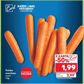 Marchew Kaufland niska cena