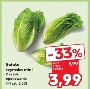 Sałata rzymska niska cena