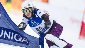 Aleksandra Król-Walas