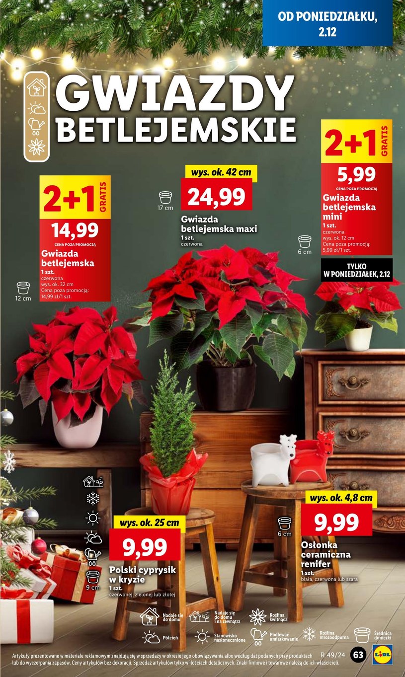 Gazetka: Świąteczne hity w supercenach - Lidl - strona 67