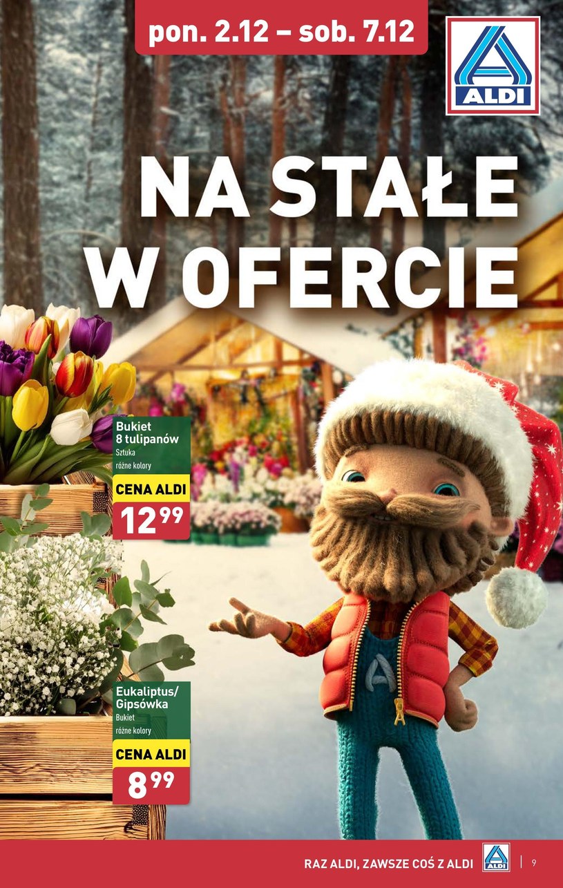 Gazetka: Soczyste święta z Aldi - strona 9