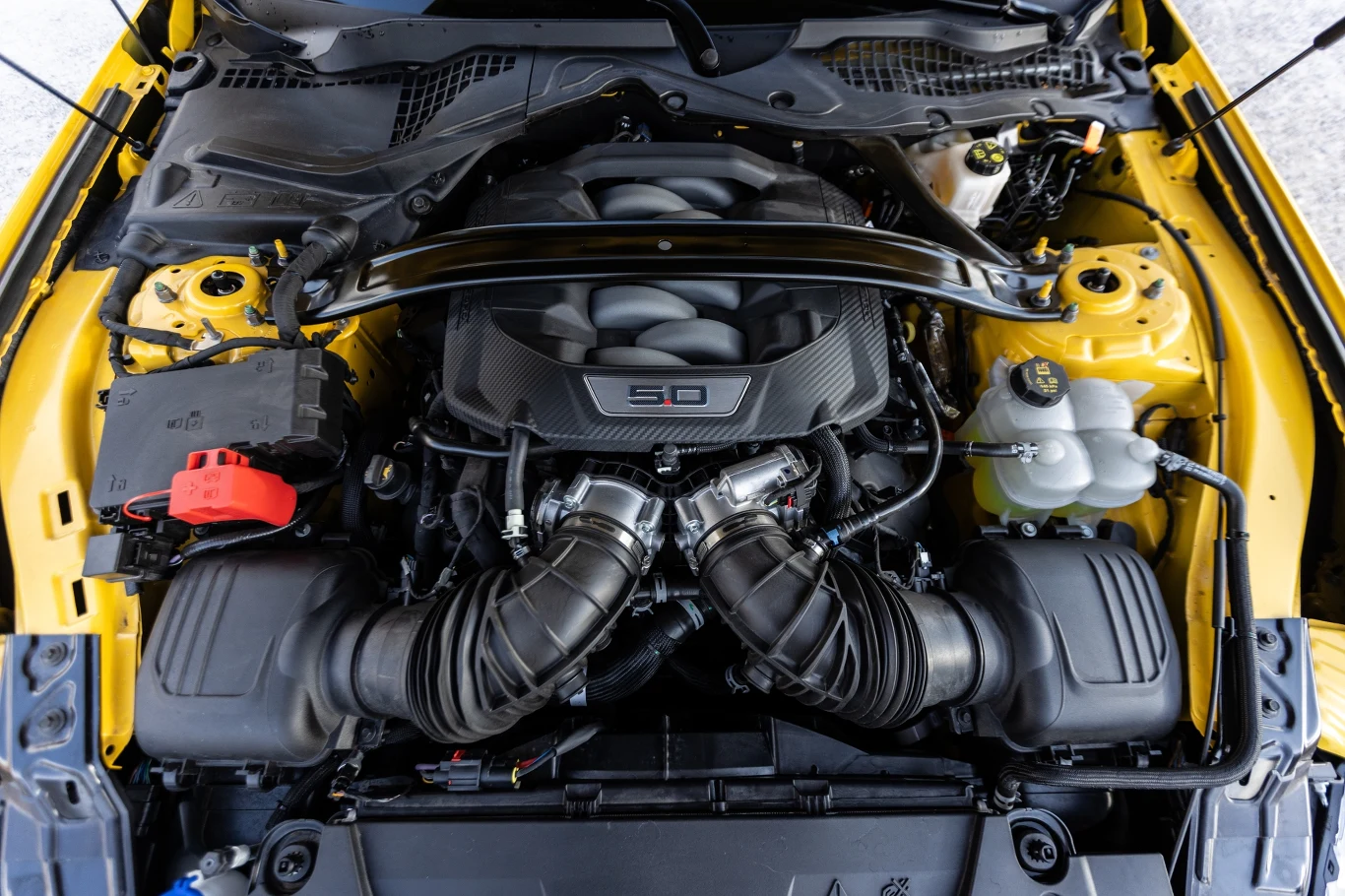 Ford Mustang jest dostępny w Europie tylko z wolnossącym V8 Ford Mustang jest dostępny w Europie tylko z wolnossącym V8
