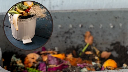 Jak kompostować odpady w domu?