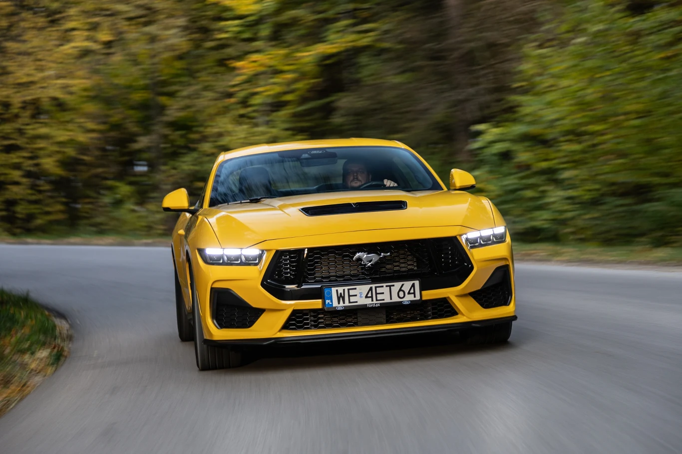 Ford Mustang GT Ford Mustang GT