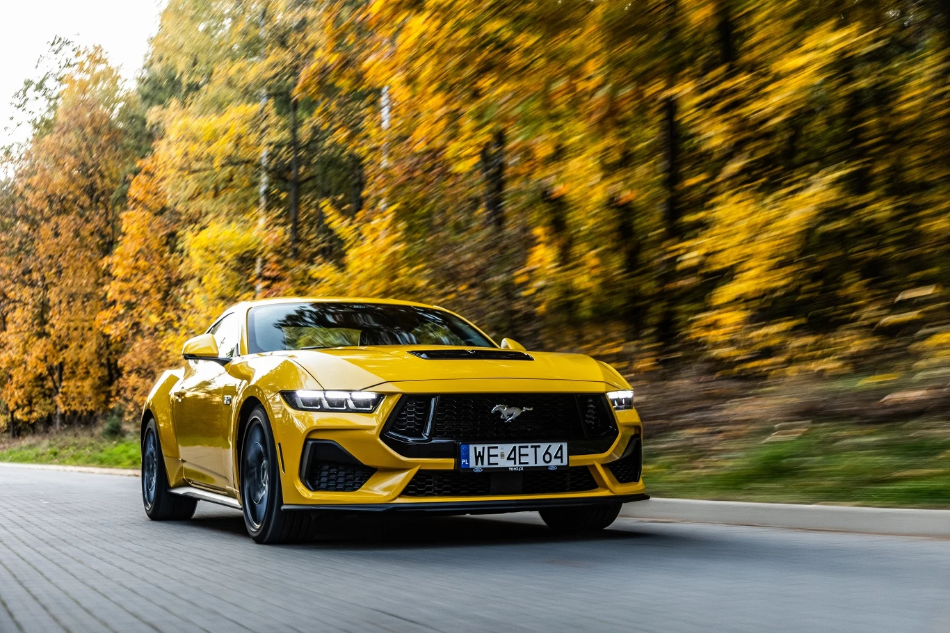 Ford Mustang GT Ford Mustang GT