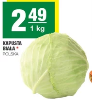 Kapusta biała