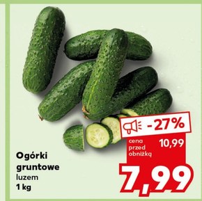 Ogórki niska cena