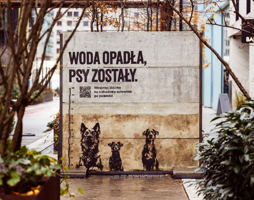 Akcja „Woda opadła, psy zostały” porusza swoją dosłownością 