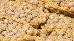 Ziemniaki z zagranicy zalały Polskę. Rolnicy nie potrafią sprzedać krajowych zapasów.